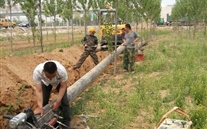 河北尊龙凯时-人生就是搏公司环网管线工程建设顺利推进