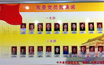 尊龙凯时-人生就是搏集团党委开展党员承诺活动