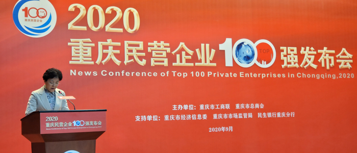重庆市委常委、统战部部长李静在发布会上讲话