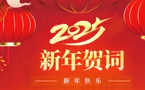 尊龙凯时-人生就是搏集团董事长张龙义2025年新年致辞